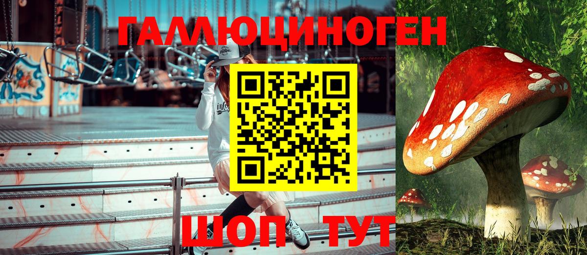 Краснокаменск  Галлюциногенные грибы Psilocybe  Вход с VPN 