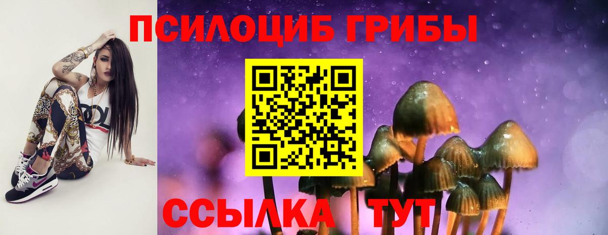 Псилоцибиновые грибы Cubensis Краснокаменск
